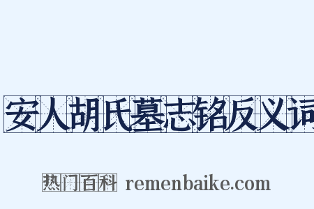 安人胡氏墓志铭反义词是什么意思的图片